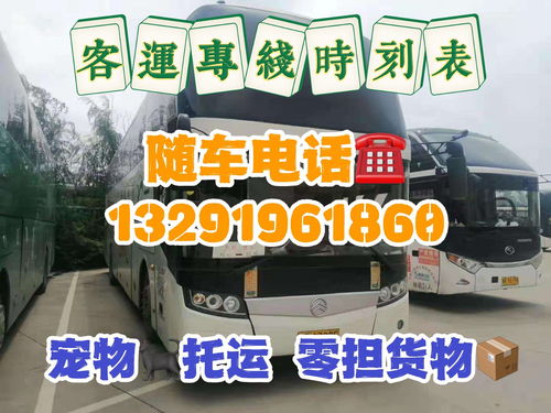 宁波民权的汽车多少钱
