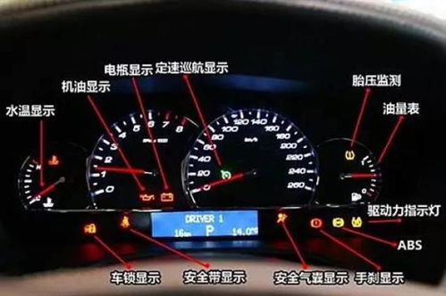 汽车仪表台油耗多少