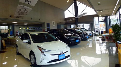 汽车长租多少钱一个月