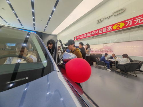 绥中汽车电器多少