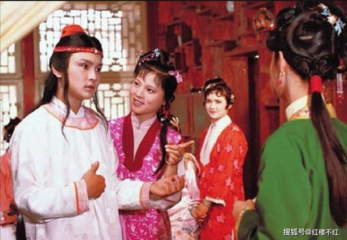 陈丽君为贾宝玉争议言论落泪道歉