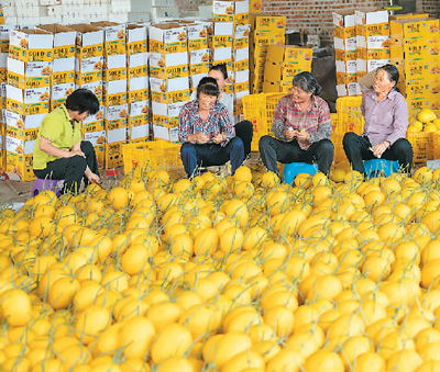今年高价水果为啥纷纷降价