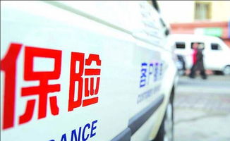汽车责任险一年多少钱(汽车责任险一年费用解析，价格因素与保障内容)