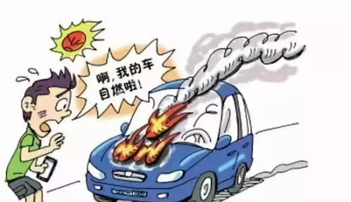 被烧过的汽车能值多少钱(被烧过的汽车的价值评估)