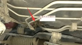 汽车水管底座多少钱一个(汽车水管底座价格解析，多少钱一个？
