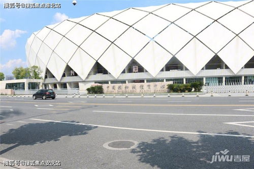 甘肃汽车厂光幕多少钱(甘肃汽车厂光幕价格解析)