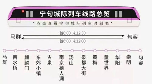 定兴到沧州汽车票多少钱(定兴到沧州汽车票价详解)