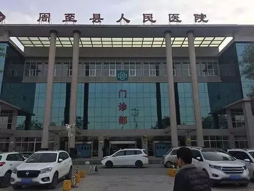 周至到杨陵汽车站多少钱(周至到杨陵汽车站的价格解析)