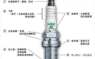 烧气汽车火花塞多少钱(烧气汽车火花塞价格解析)