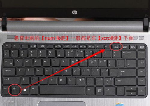 华为电脑怎么显示数字键(华为电脑如何显示数字键，详细指南)