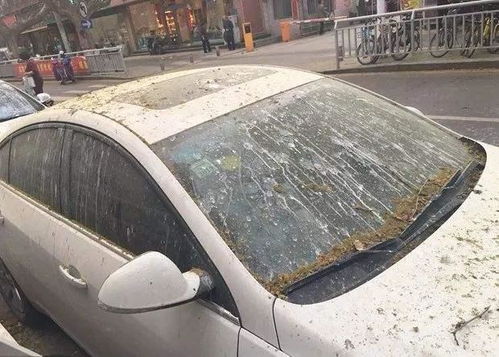 防水汽车保护膜多少钱(防水汽车保护膜的价格及其相关因素探讨)