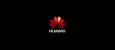 华为电脑标志亮了怎么办(华为电脑标志亮起，解读与处理)
