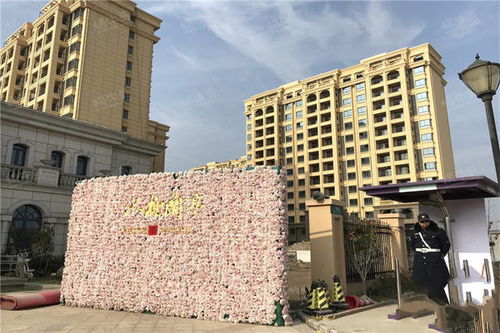 河南汽车贴装饰画多少钱(河南汽车贴装饰画的费用解析)