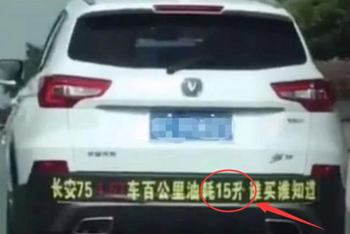 汽车追尾换缸盖多少钱啊(汽车追尾换缸盖需要多少钱？一篇文章解读)