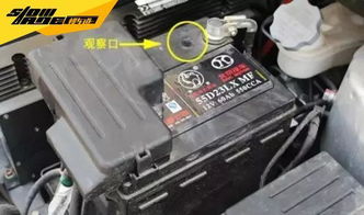 纯电汽车是多少伏的电瓶(探究纯电汽车电瓶电压，多少伏才是主流？