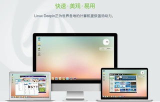 华为电脑怎么不能安装快手(华为电脑无法安装快手，原因解析与解决方案)