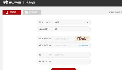 电脑抢华为怎么付钱(华为电脑抢购攻略，支付方式详解)