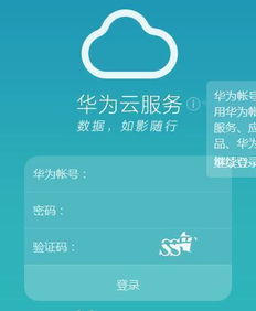 华为电脑怎么下载斑马(华为电脑如何下载斑马—一站式指南)
