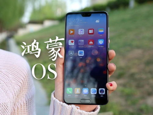 华为鸿蒙手机怎么打开