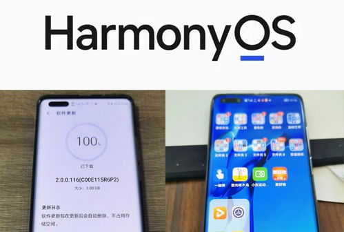 华为手机怎么信息没来