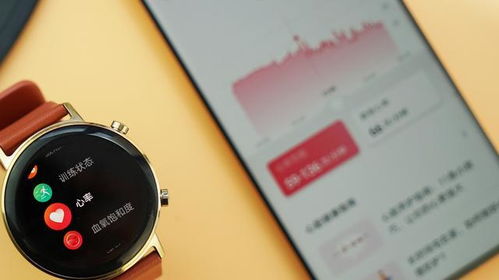 手机怎么同步华为手表 手机怎么同步华为手表