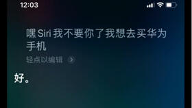 华为手机siri怎么找