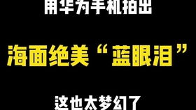 华为手机倍速怎么调