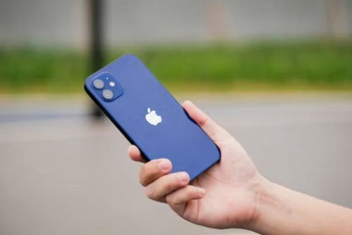 华为手机拍照怎么调正