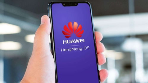华为手机都怎么读音