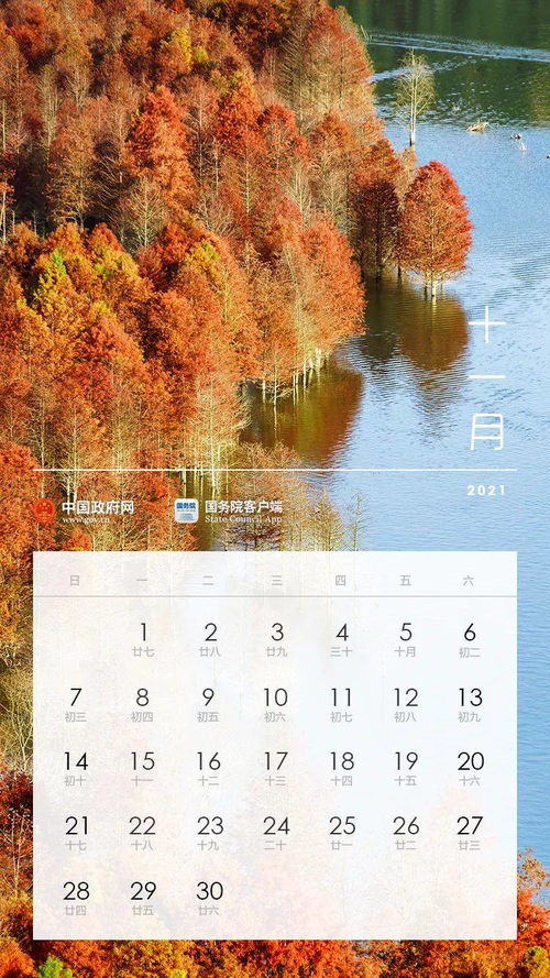 华为手机怎么安排桌面