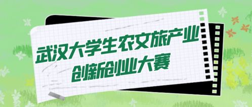 俩老外在武汉看球赛用中文争论