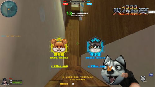 星际宝藏游戏攻略 VS 小猫游戏橘猫游戏攻略