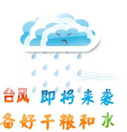 台风来袭！请收好这份法律小贴士