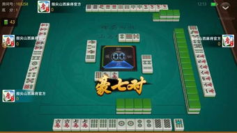 麻将游戏攻略 VS 蛋卷游戏攻略