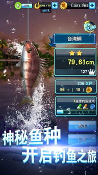 小猫钓鱼游戏第二章攻略 VS 亡魂游戏攻略