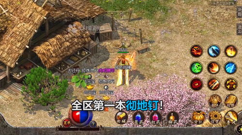 生存游戏金钱游戏攻略 VS 暴徒传奇游戏攻略
