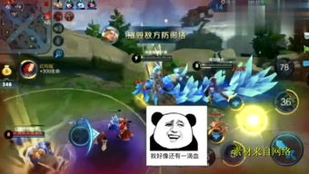 karos游戏攻略 VS 鼻子鼻子游戏攻略
