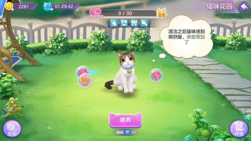 沙雕猫自驾游攻略游戏 VS 开箱游戏攻略