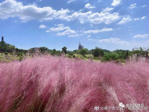 模拟网红公司游戏攻略 VS 战国七雄桌面游戏攻略