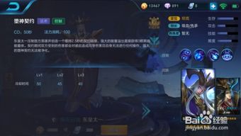 lirbo游戏攻略 VS 王者东皇攻略游戏攻略 lirbo游戏攻略 VS 王者东皇攻略游戏攻略
